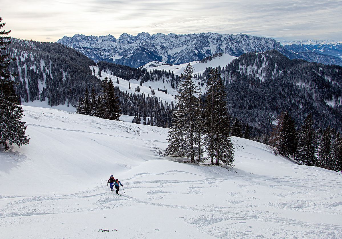 Aufstieg oberhalb der Schreckalm - hinten der Wilde Kaiser