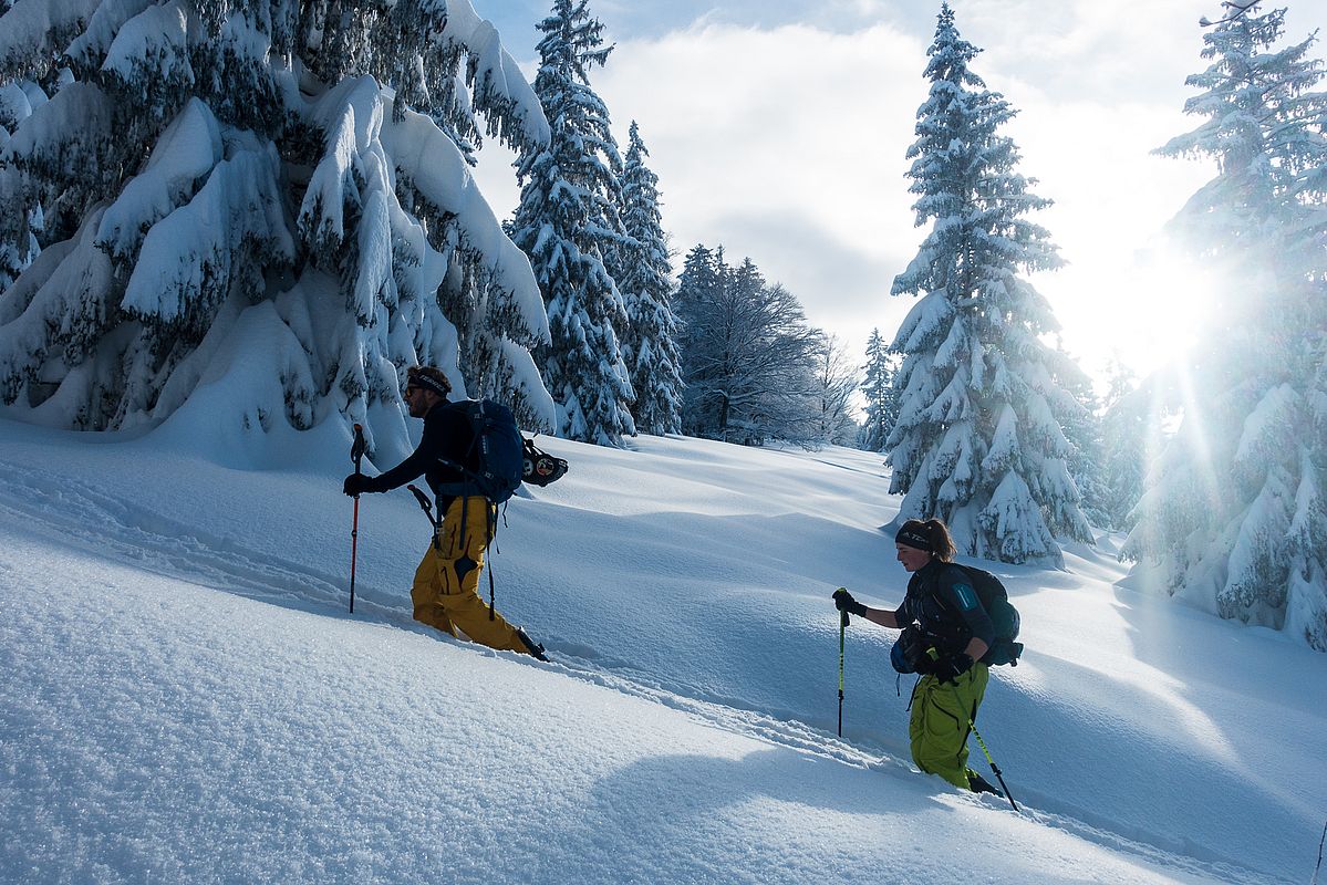 Wintermärchen pur im Aufstieg zum Breitenstein.