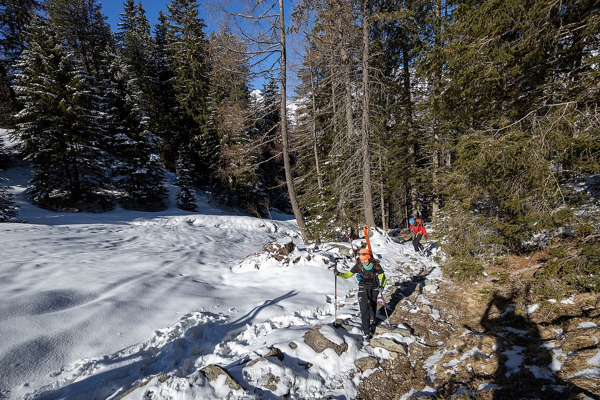 Wir haben die Ski über den weitgehend aperen Sommerweg bis zur Waldgrenze hinauf getragen