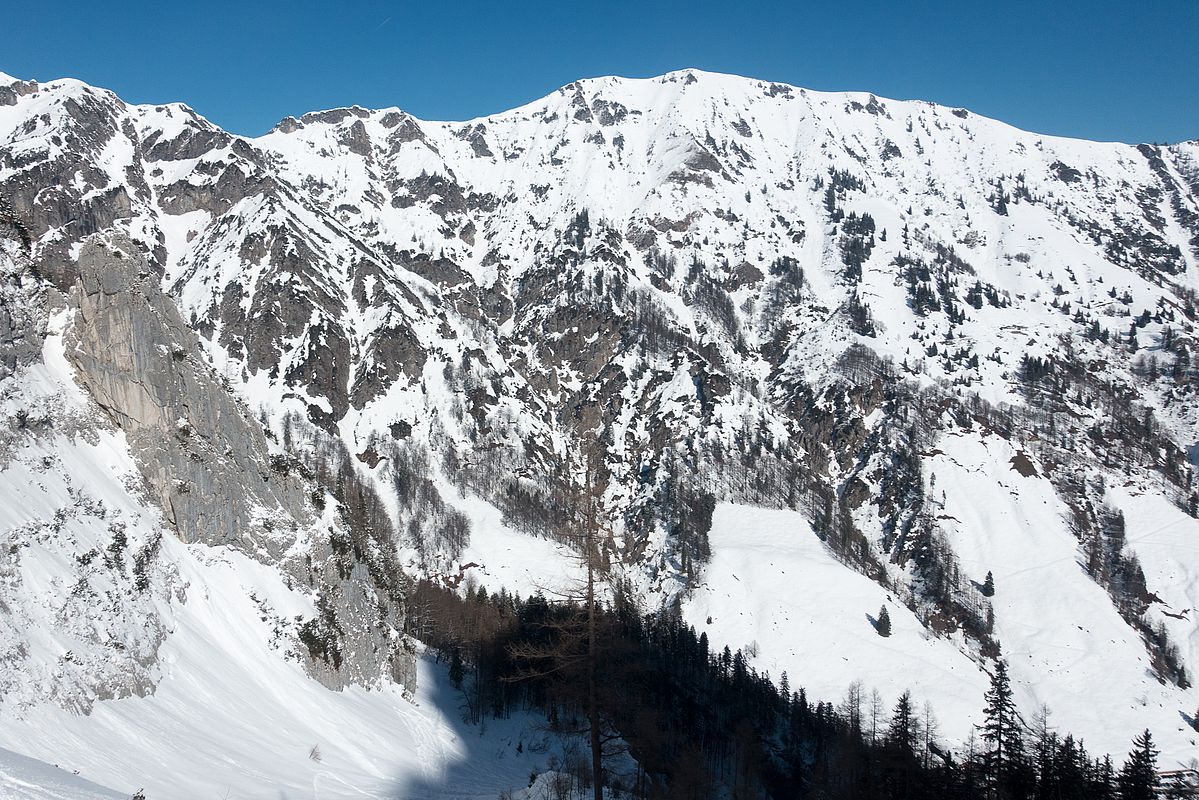 Blick nach Gegenüber zur Feldberg-Südflanke, die Latschen sind heuer sehr gut eingeschneit. 