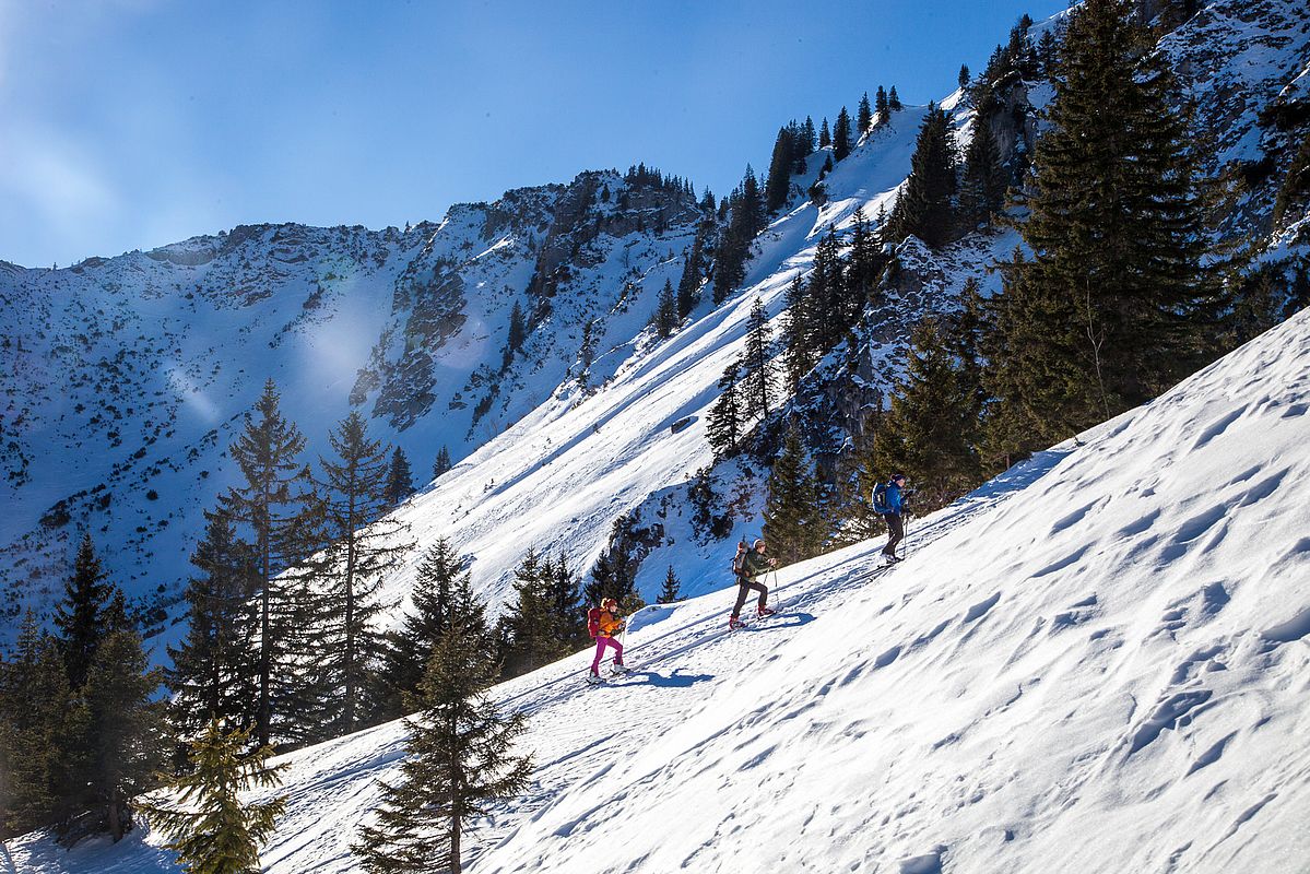 Aufstieg zur Brecherspitze