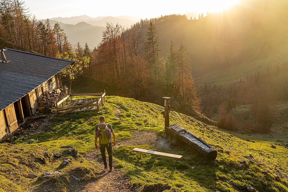 Abendlicht an der Wegscheid-Hochalm