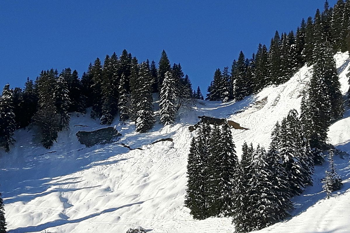 Frische Gleitschneeabgänge und Schneemäuler in der Ostflanke der Bodenschneid