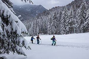 Die Piste ist nicht präpariert und wird aktuell noch nicht beschneit