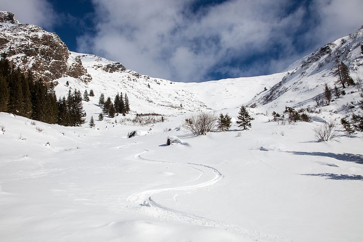 Unten raus dann schwerer aber noch gut fahrbarer Pulverschnee, bevor es im Talgrund die letzten Meter im Bruchharsch zum Auto ging.