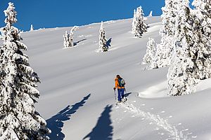 Traumhafte Querung übers Rossalmplateau