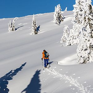 Traumhafte Querung übers Rossalmplateau