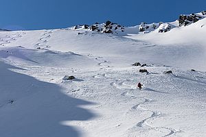 Bögerlflechten in den Nordhängen