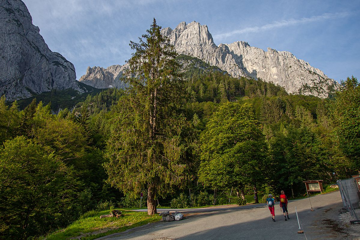 Start an der Griesneralm