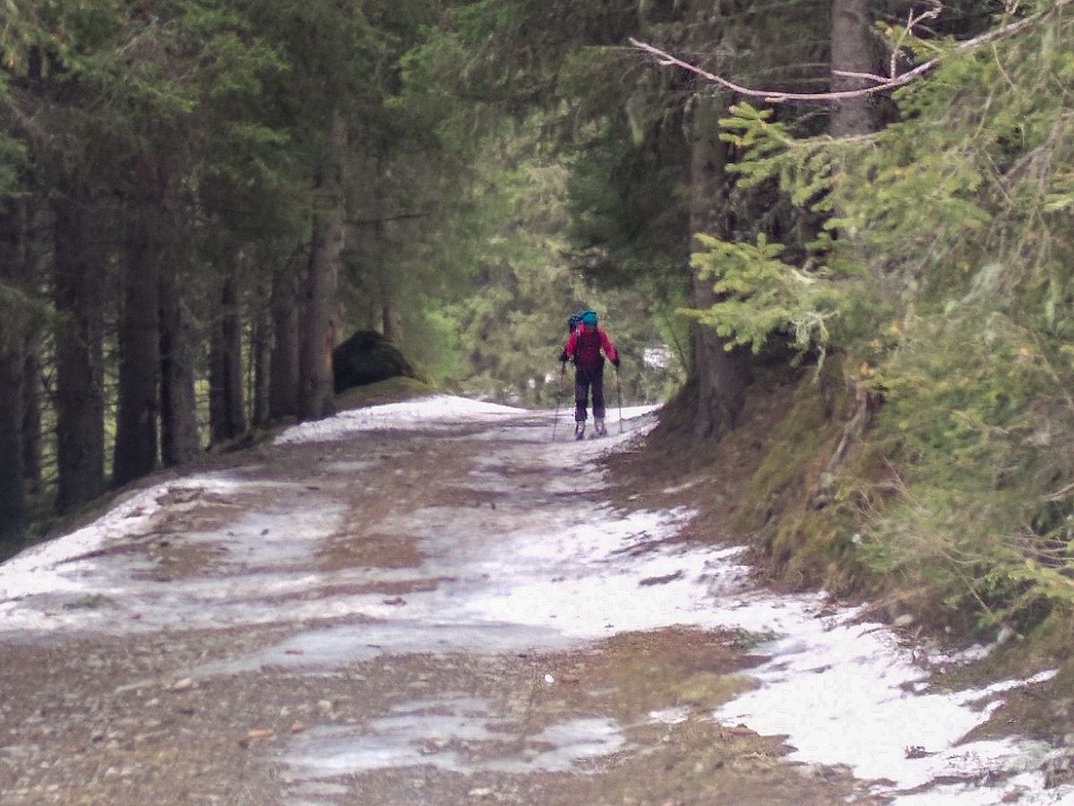 Apere Passage in dem Stück durch den Wald