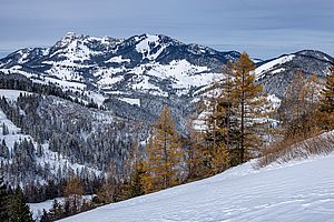 Blick zum Wendelstein und Wildalpjoch