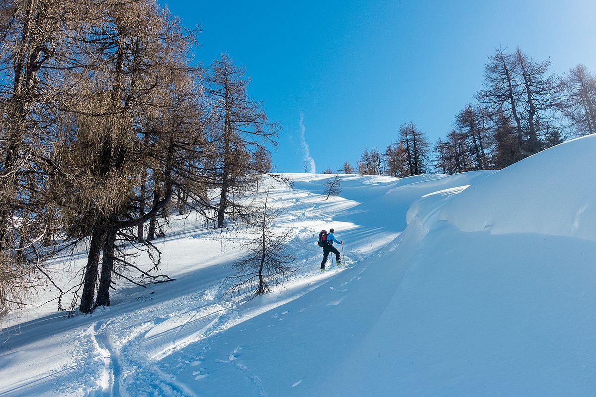 Lockerer Pulverschnee im Aufstieg