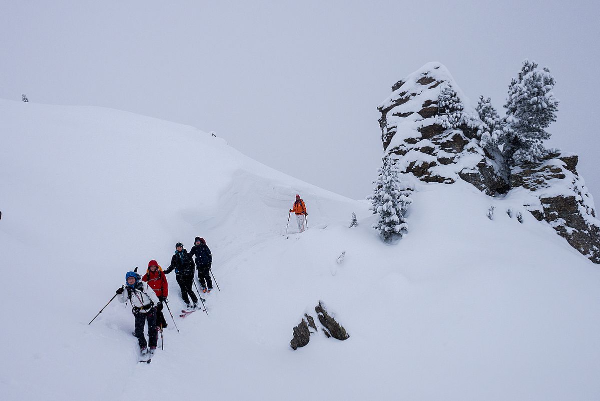 Oberhalb der Waldgrenze hatte am Hobarjoch der Wind in den letzten Wochen ziemlich gewirkt.