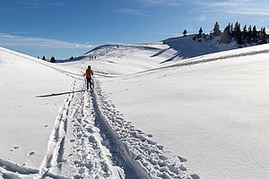 Die Querung zum Sonnberg