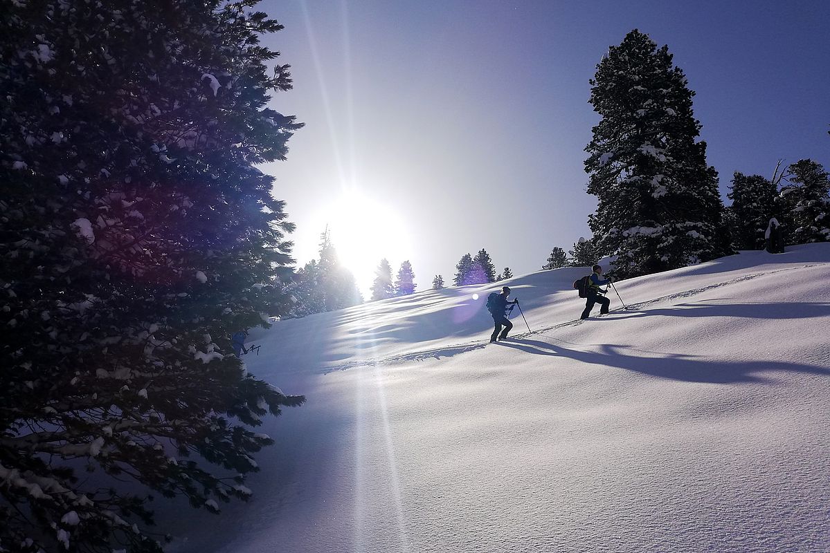 Skitour Wildkarspitze, Gerlos