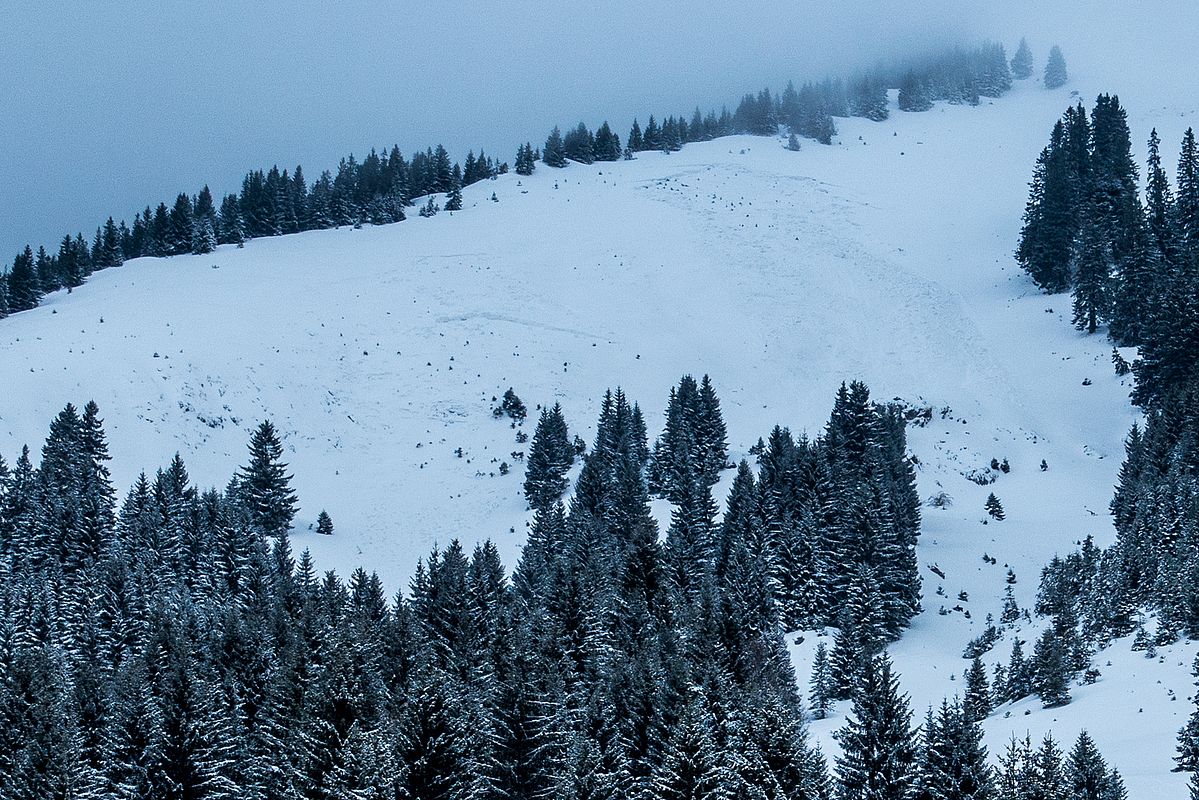 Die beiden Gleitschneelawinen im Südhang - durch den Neuschnee nicht mehr so gut erkennbar.