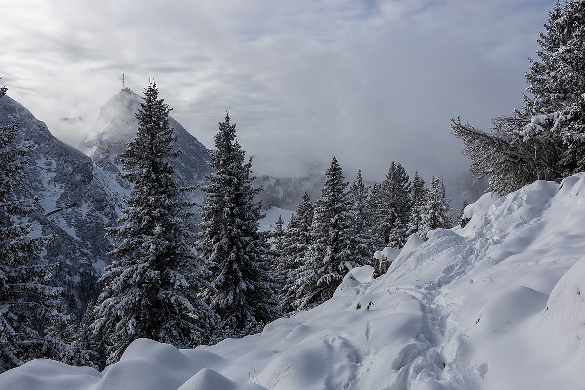 Am Grat wird der Blick zum Wendelstein frei