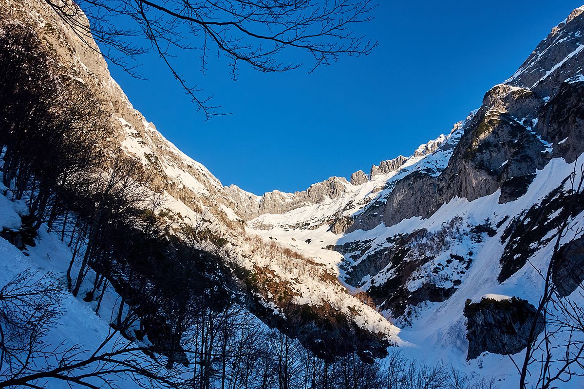 Der Staudenhang kommt gerade in die Morgensonne