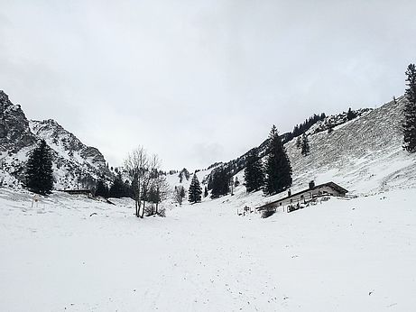 Traurige Schneelage im Chiemgau im Dezember. 