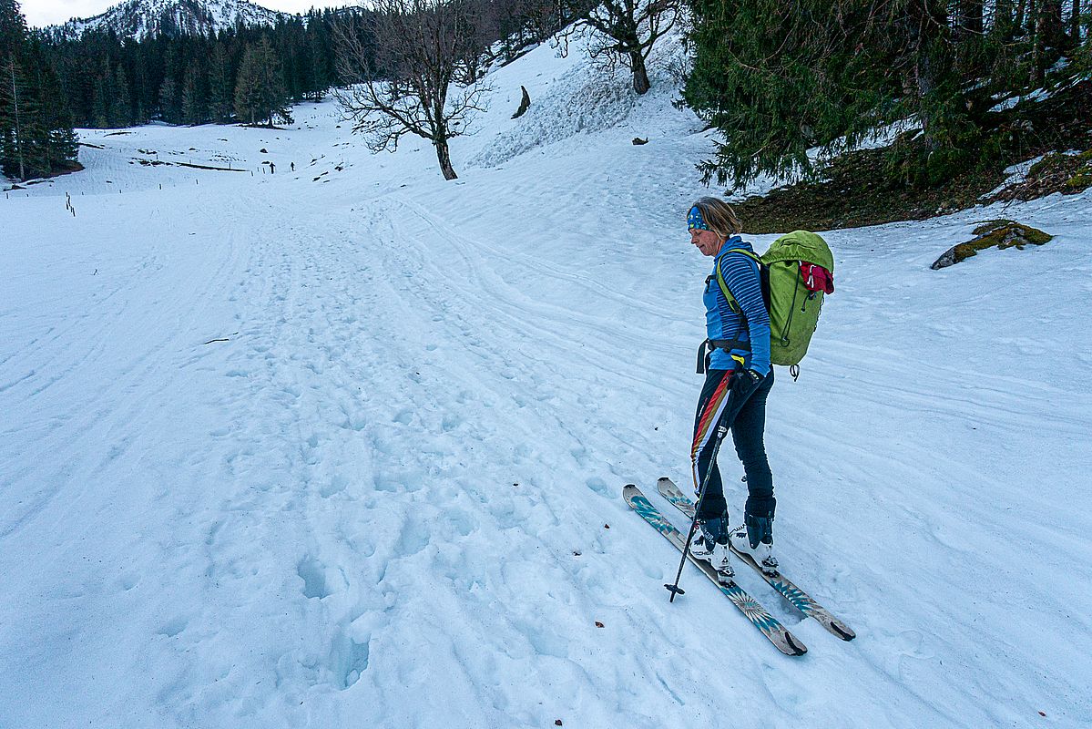 Morgens an der Sieblialm