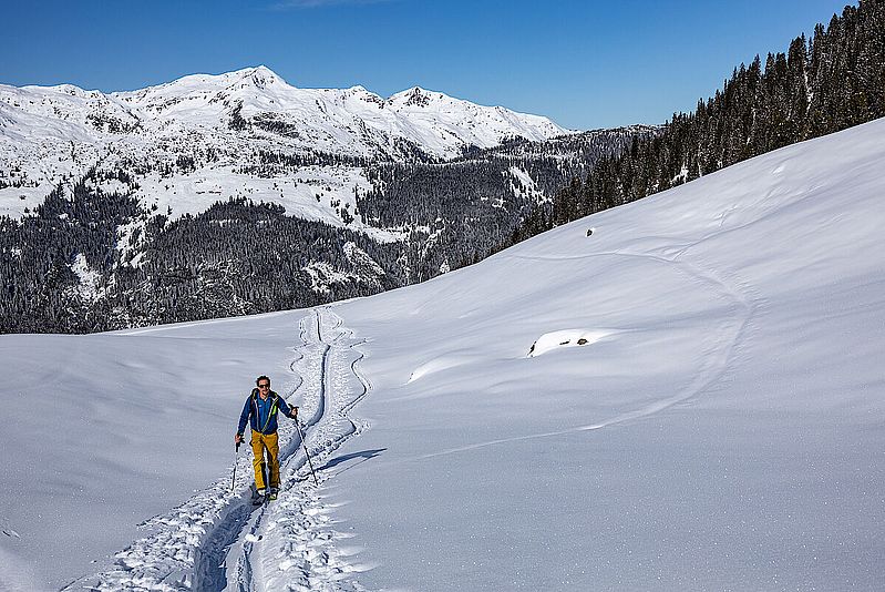 Im Bereich der Hochfeldenalm