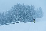 Teils dichter Schneefall - hier in Gschwendt auf ca. 850 m