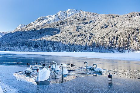 Die Eisbrecher vom Jägersee 