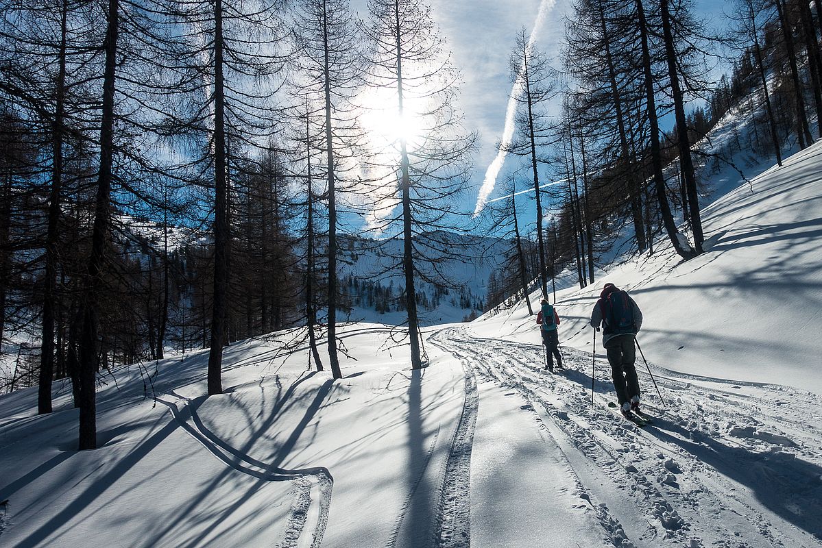 Sonne und Schatten im Schöntal am Aufstieg zum Großen Rettenstein, Kitzbüheler Alpen