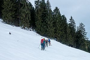 Aufstieg zum Heuberg, Zahmer Kaiser