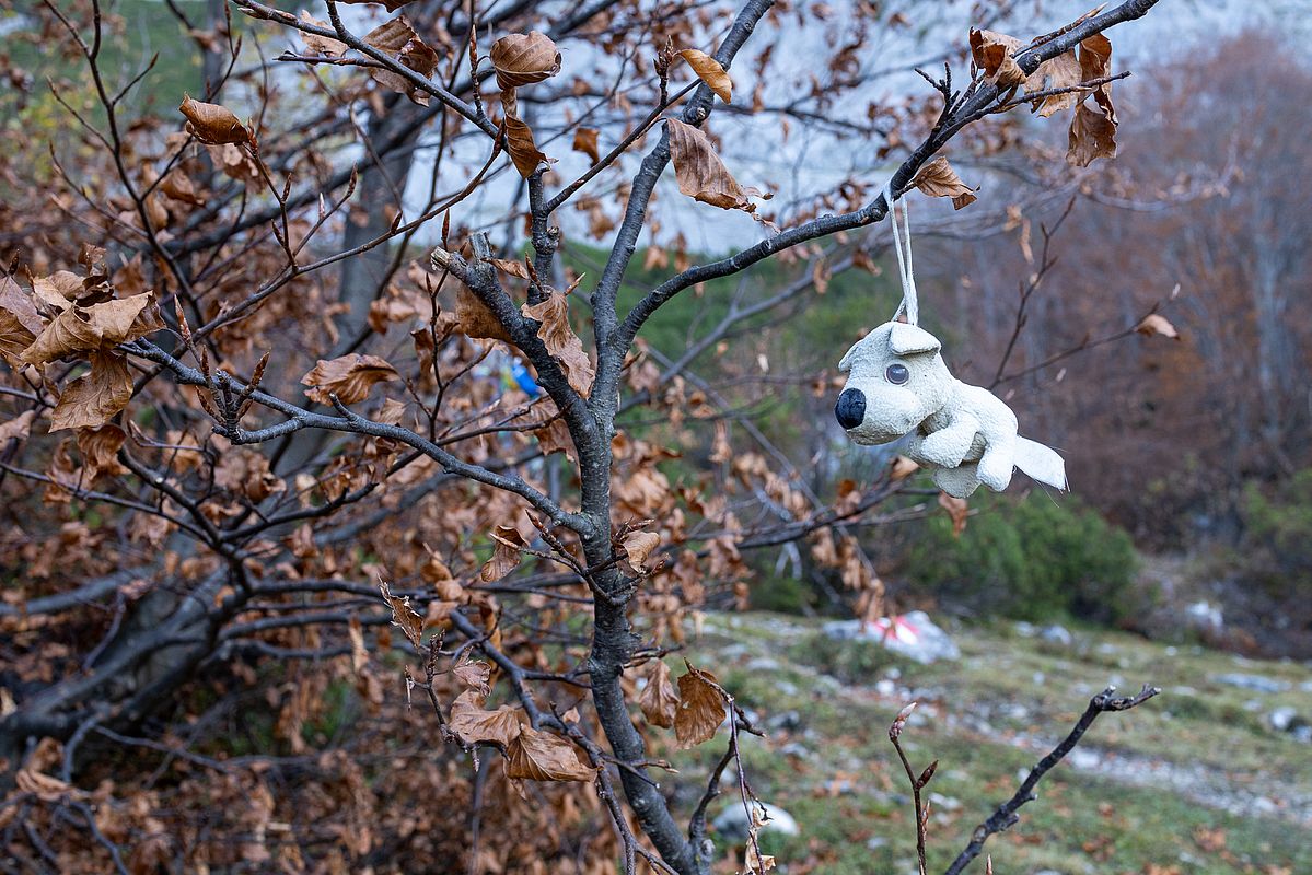 Da hat jemand sein Maskottchen verloren