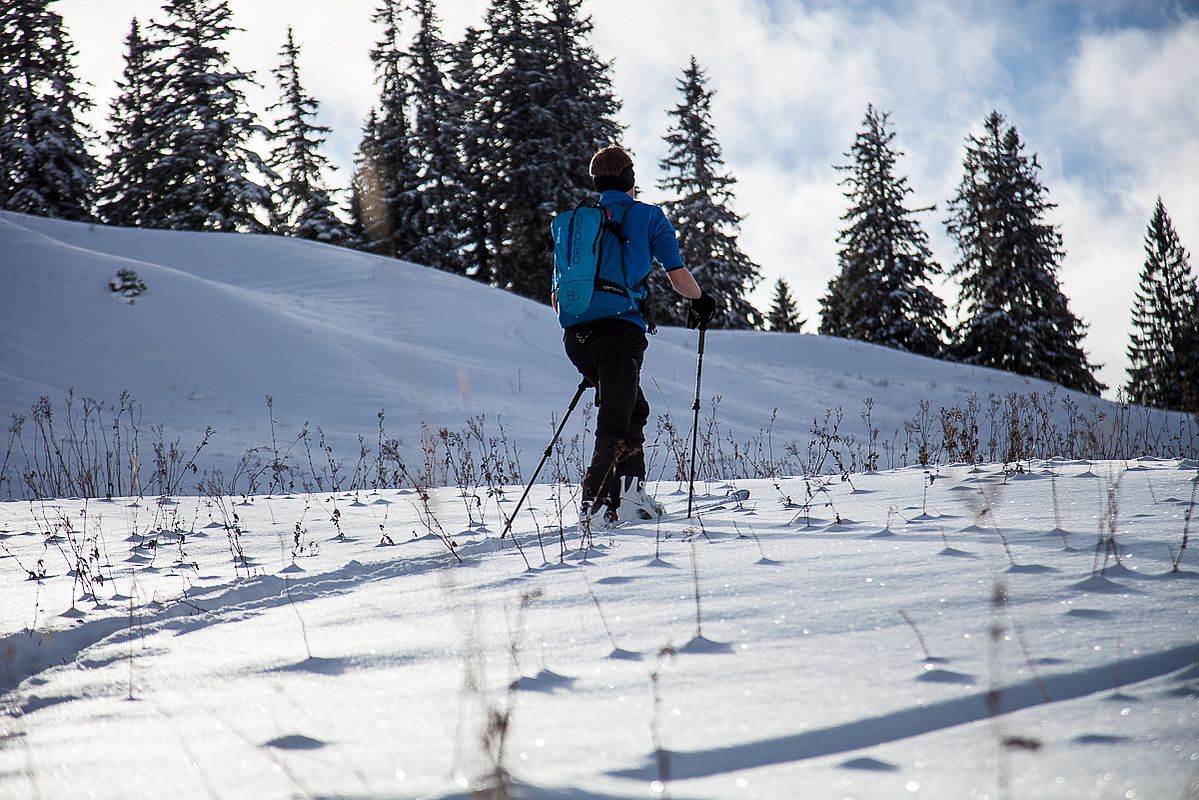 Aufstieg von der Firstalm zum Stümpfling bei 25-30 cm Schnee ragen die Disteln und das längere Gras noch weit heraus.