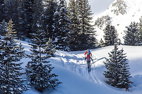 Typisches Zirbenwaldambiente in den tieferen Lagen des Tourengebiets der Weidener Hütte.