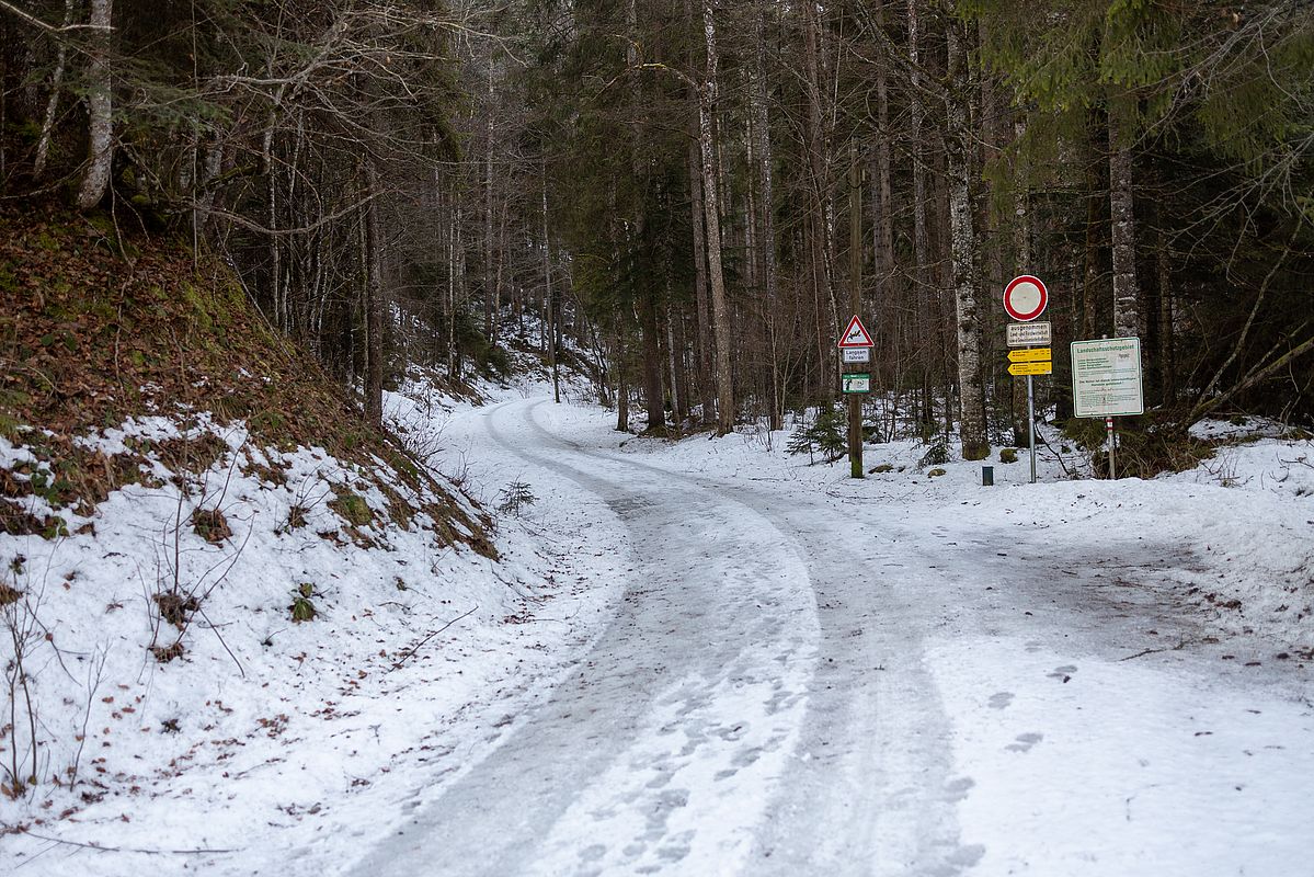 Start am Waldparkplatz Tatzelwurm auf der eisigen Straße