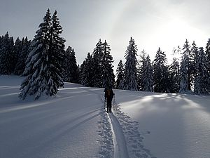 Aufstieg zum Lahnenkopf