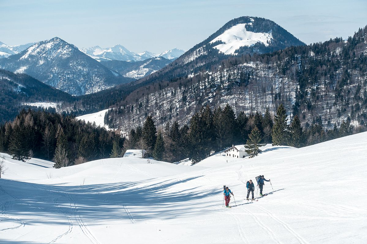 Schöne flache Hänge am Weg zum Spitzsteinhaus, im Schatten ist der Schnee hier sogar noch pulvrig.