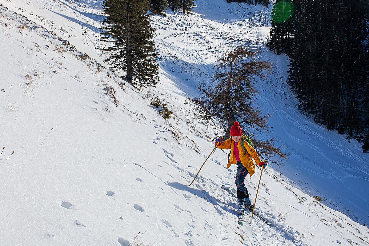 Spitzkehren im abgeblasenen Westhang der Brünnsteinschanze