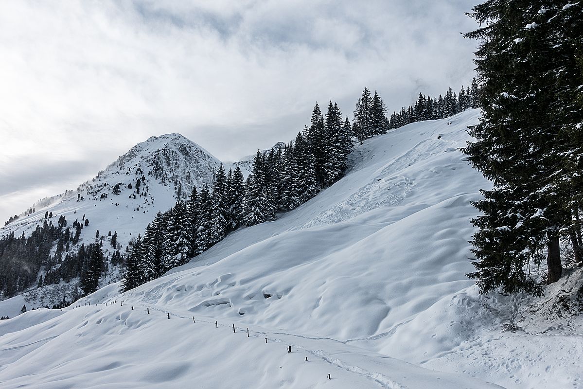 Kleines Schneebrett - vermutlich am Vortag ausgelöst von einem Tourengeher bei der Abfahrt