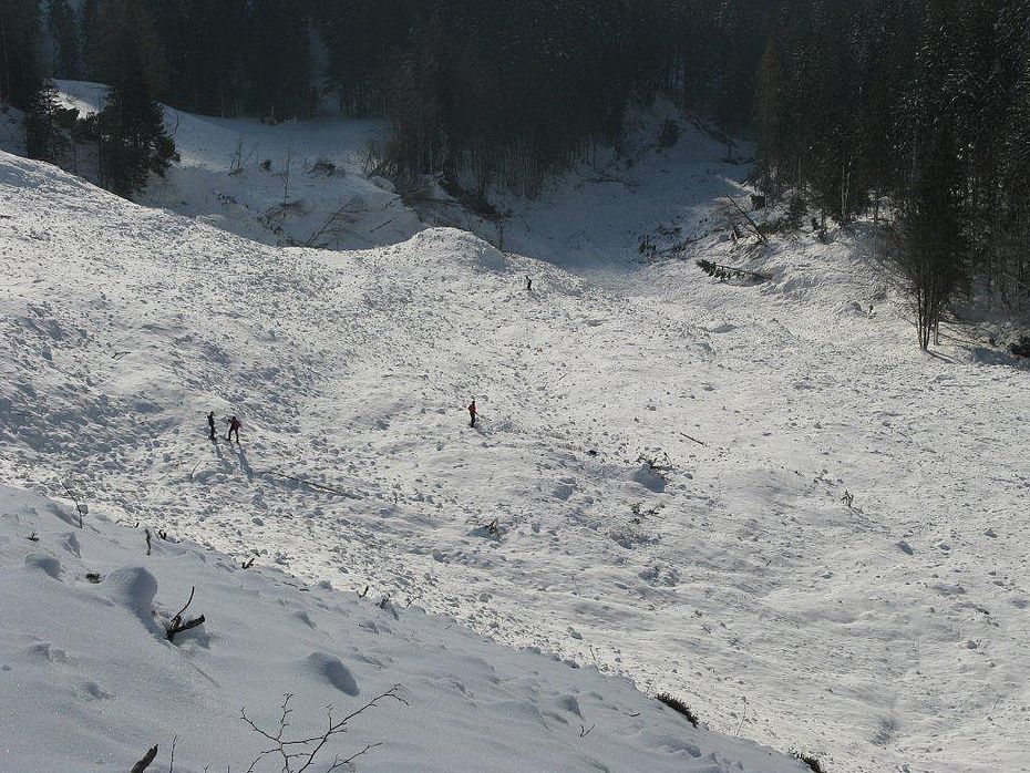 Wegscheidalm nach dem Lawinenabgang im Januar 2012.