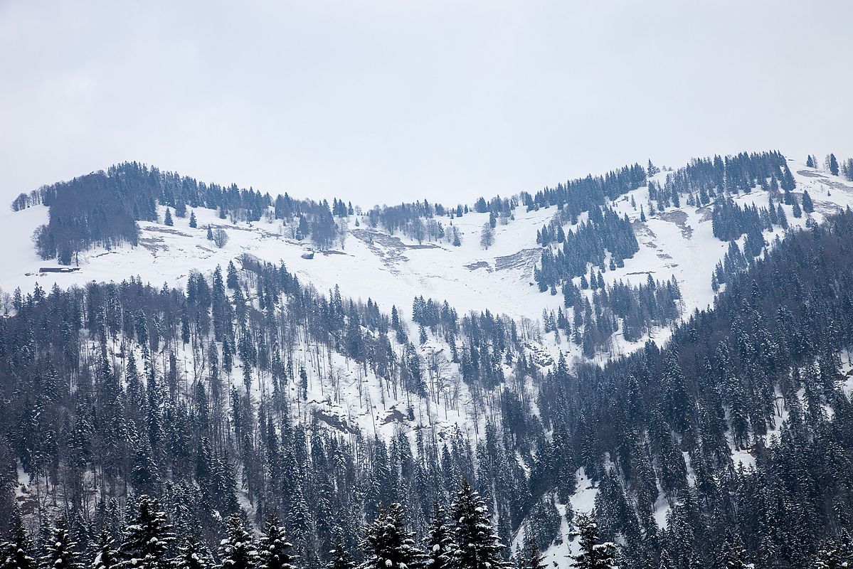 Auch hier sind viele Gleitschneelawinen abgegangen, allerdings schon vor einigen Tagen, an Schneemäulern die wir passiert haben war keine Gleitbewegung seit Freitag mehr sicht