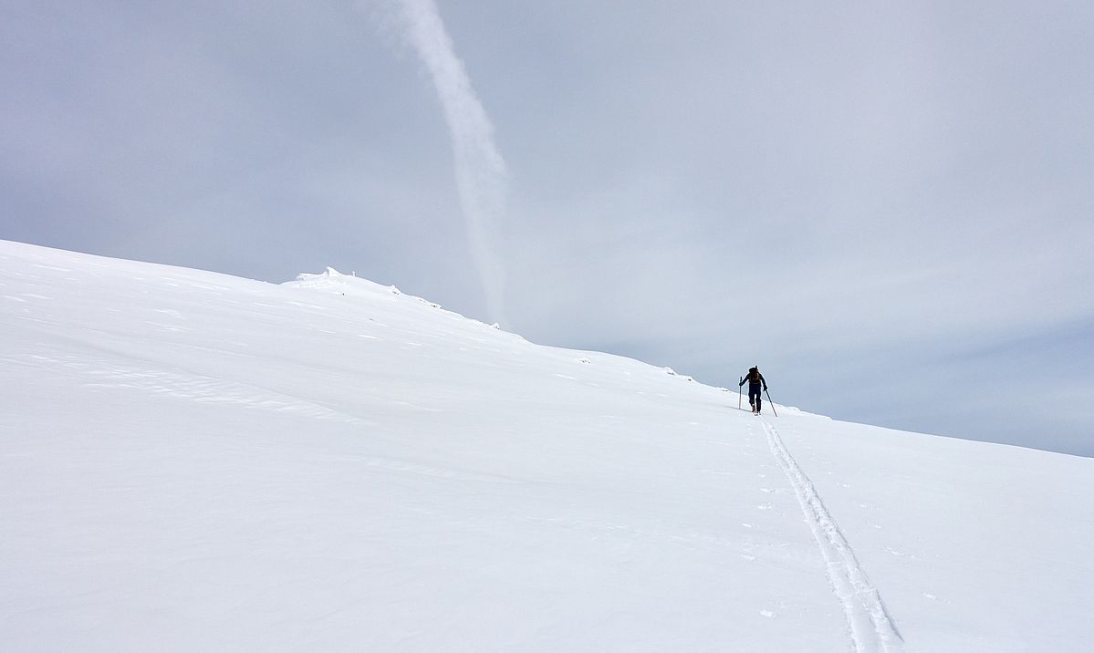 Der Gipfel des Monte Adamello