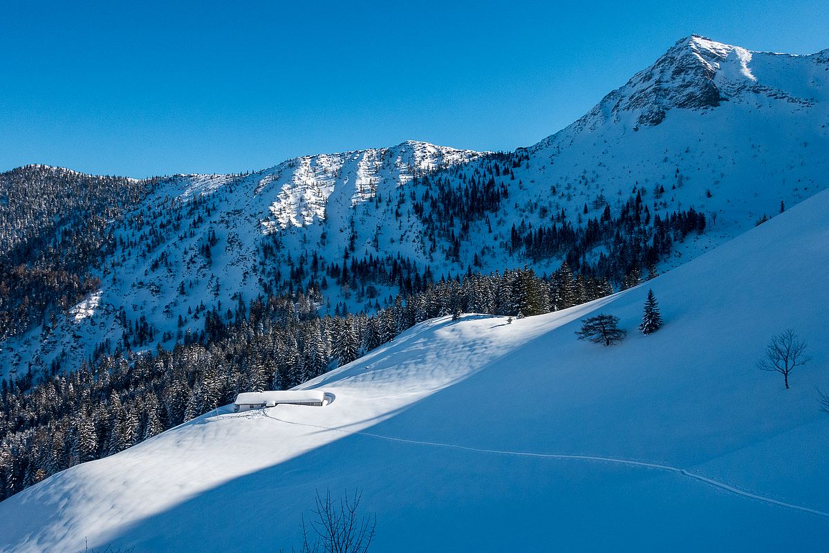 Blick zurück zur Benzingalm