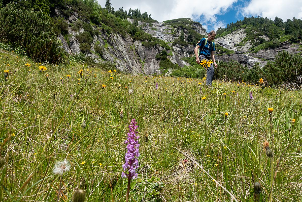 Abstieg über die Blumenwiese