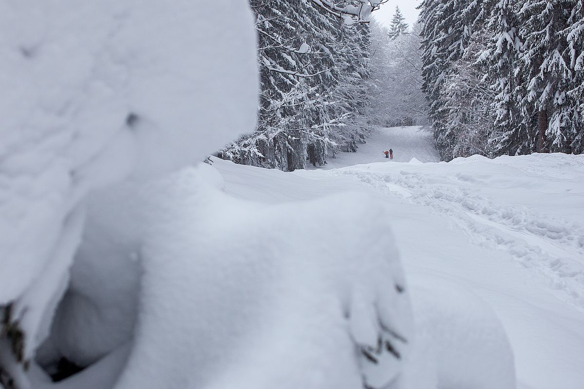 Wenig Betrieb im Westaufstieg zum Wallberg