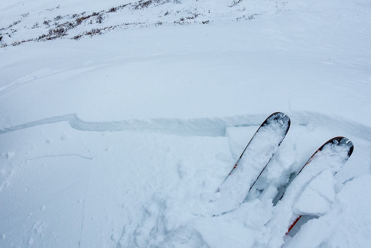 Die vielen kleinen Triebschneeschollen sind spröde und leicht auslösbar. 