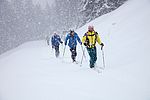 Schneefall am Ronachgeier