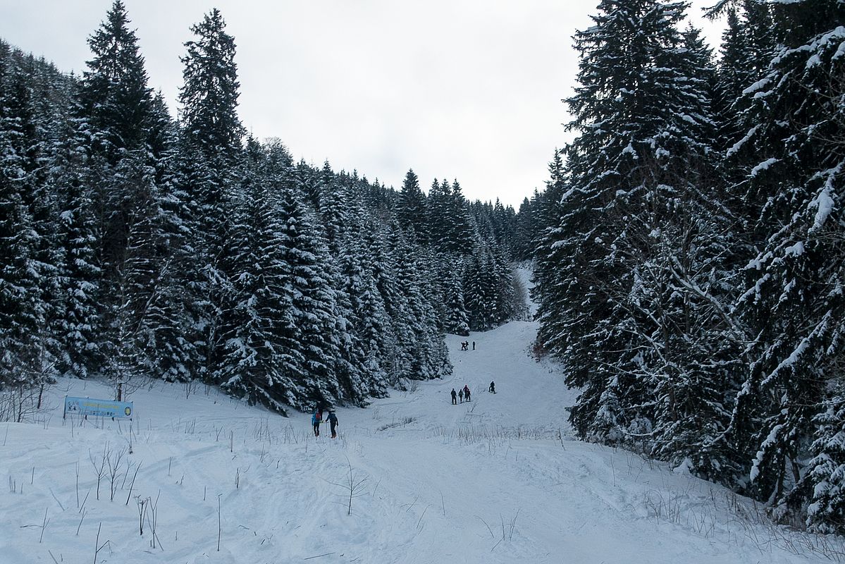 Unterster Teil der ehemaligen Pistenschneise zum Taubenstein.