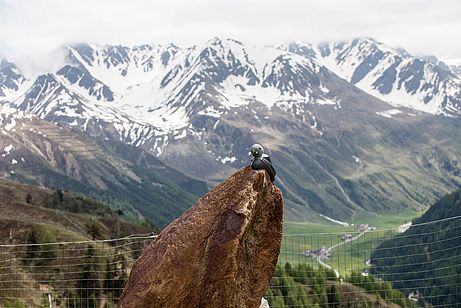 Vogelskulptur an der Patziner Alm mit Tiefblick auf das Langtauferer Tal