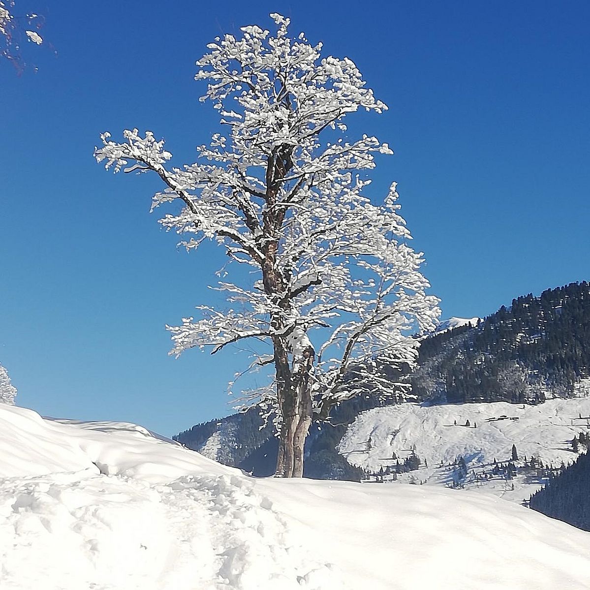 Skitour Langer Grund Niederjochkogel