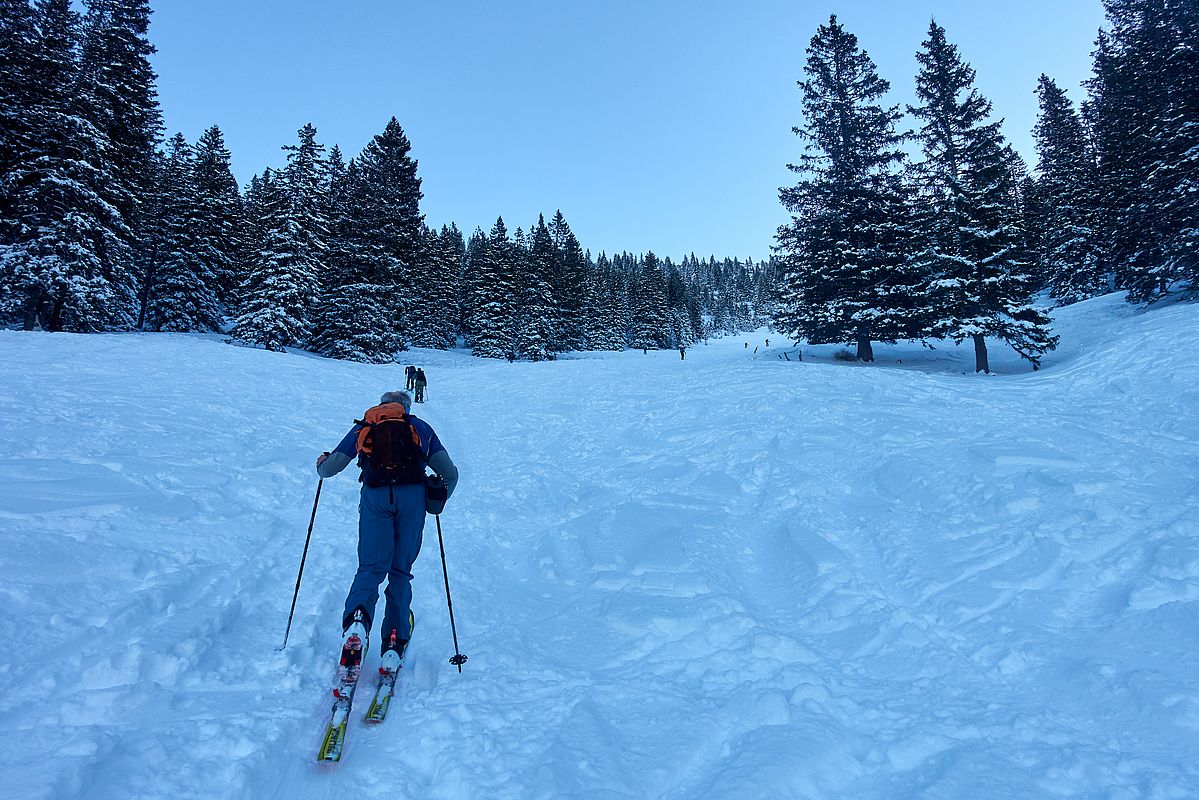 Kurz hinter der Mooslahner Alm