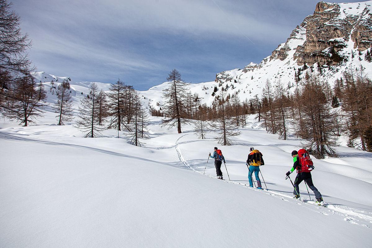 Einsame Winterlandschaft im Vallmingtal